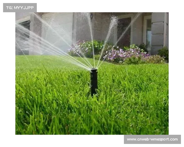 草皮质量成焦点 多家俱乐部更新地热系统