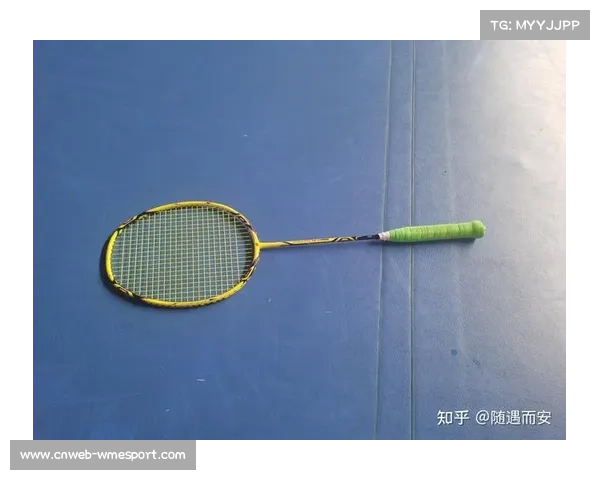 羽毛球世锦赛AI技术应用案例研究：裁判辅助与训练科学化